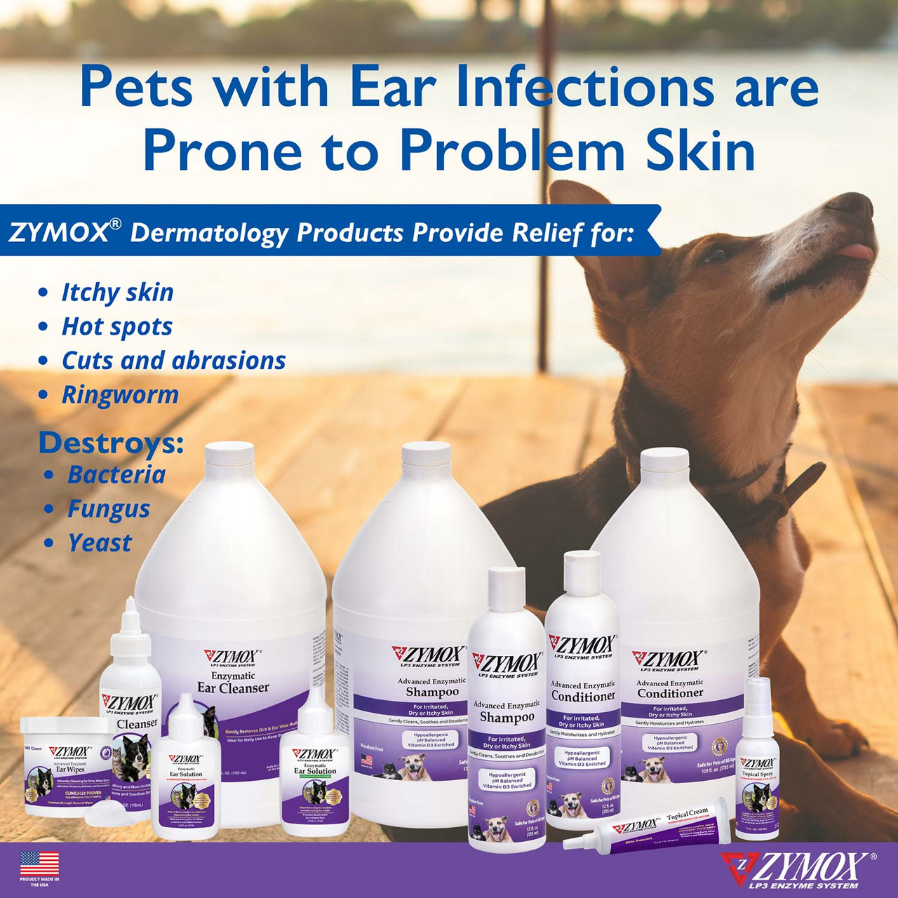 Zymox Shampoo w/ Vitamin D3 | Groomer's Choice