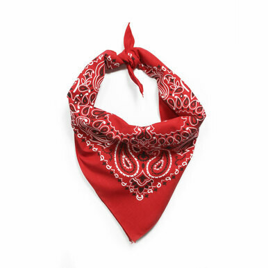 Bandana Red Paisley | 12 Pack | Groomer's Choice