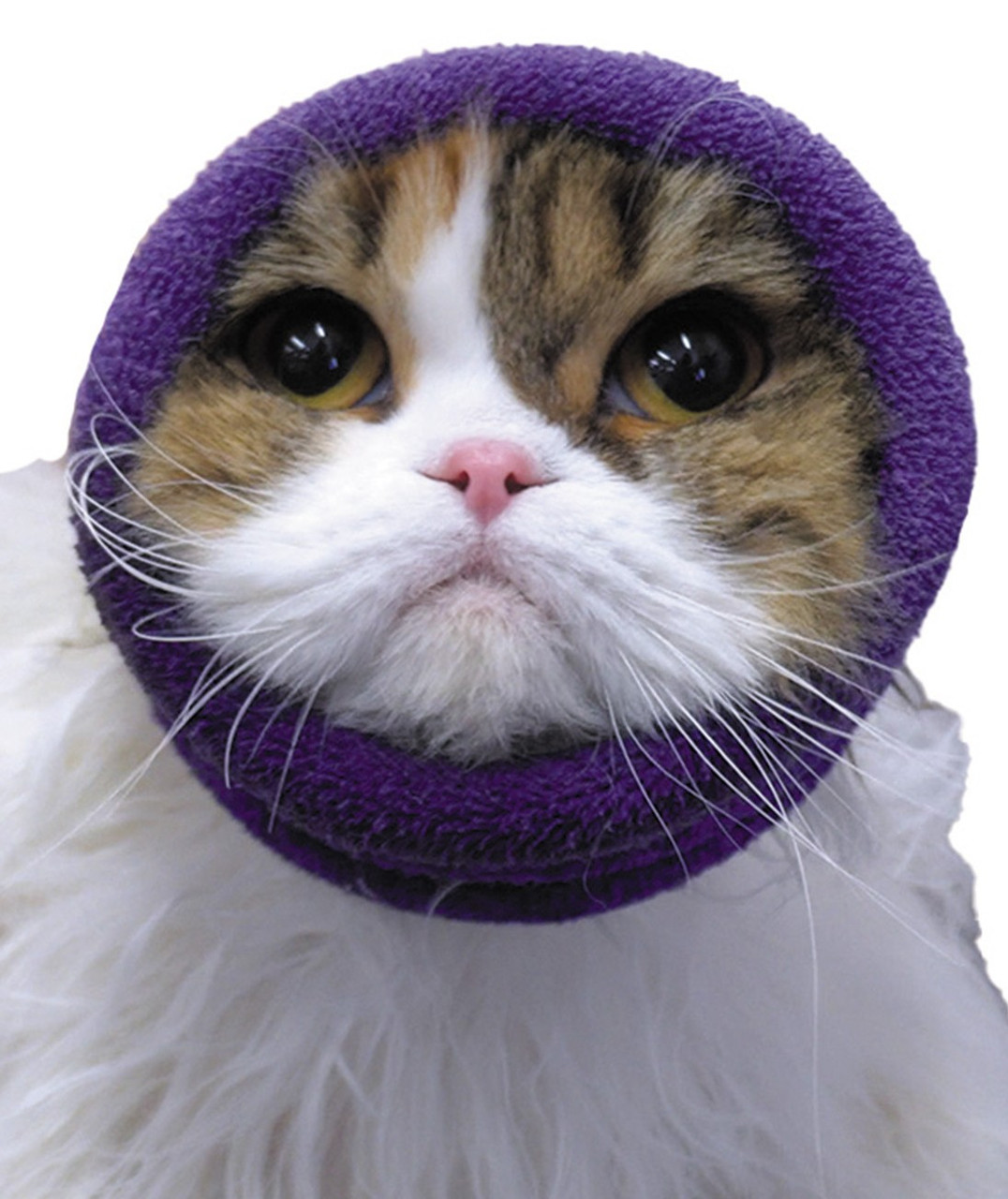 Happy Hoodie, XS, Black, Single | Groomer's Choice