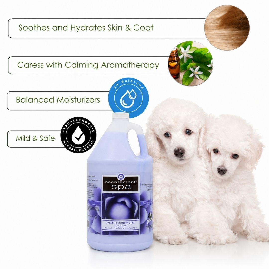 Best Shot Scentament Spa Lavender Aloe Calming Conditioner, 1 Gallon