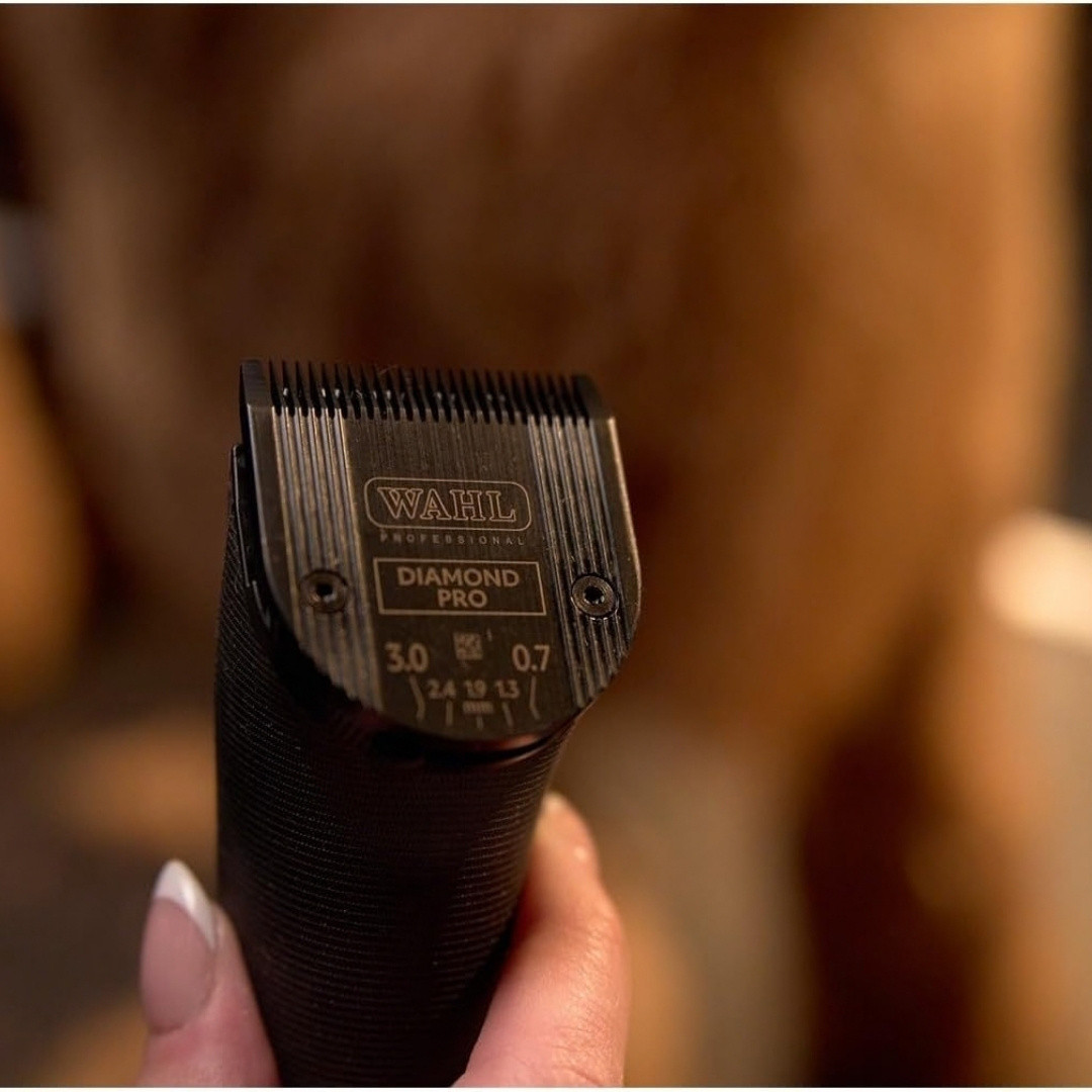 Wahl 5-in-1 Diamond Pro Blade | Groomer's Choice