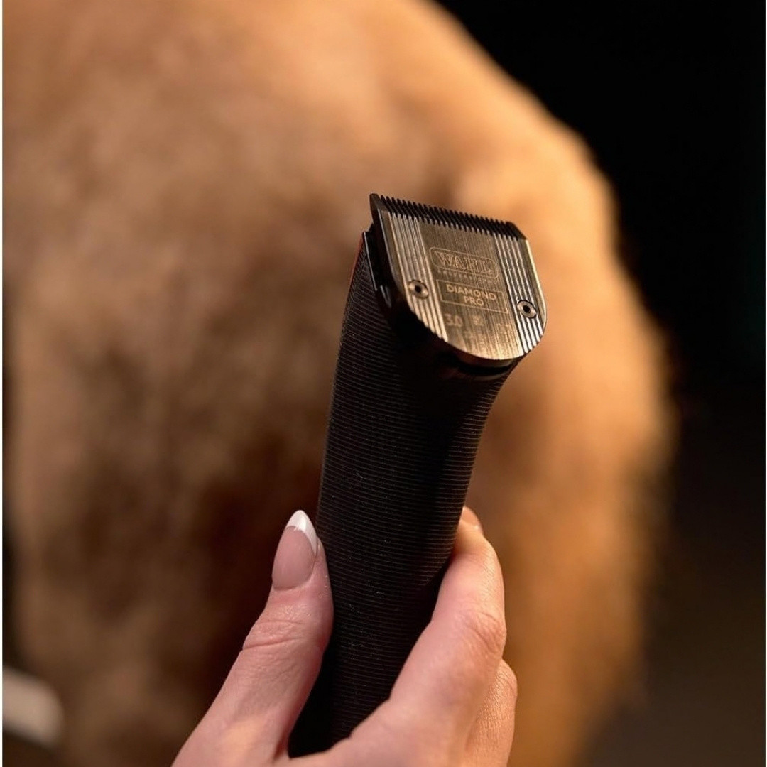 Wahl 5-in-1 Diamond Pro Blade | Groomer's Choice