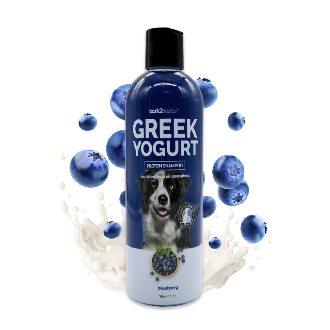 Bark2Basics Blueberry Greek Yogurt Dog Shampoo, 16oz Groomer's