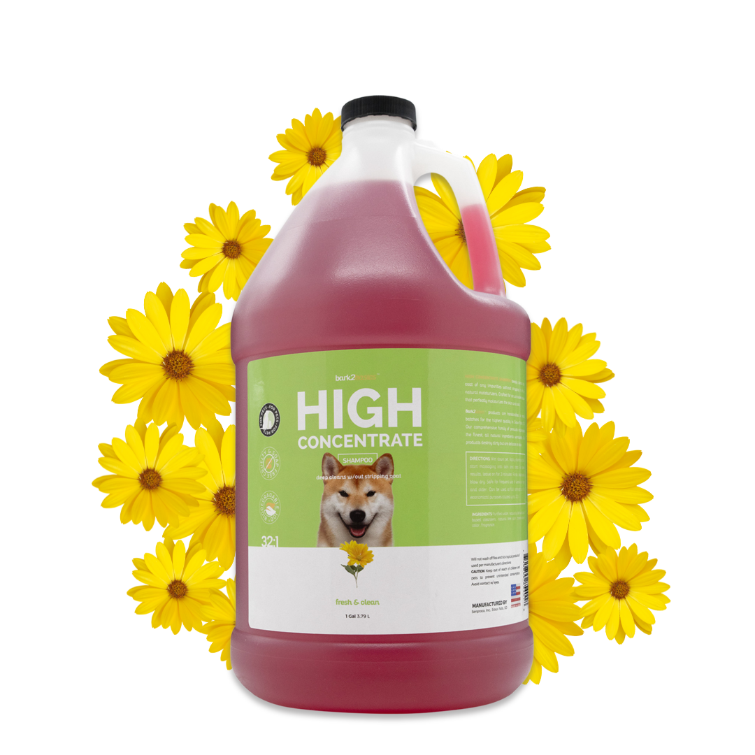 Bark2Basics High Concentrate Dog Shampoo, 1 Gallon | Groomer's Choice