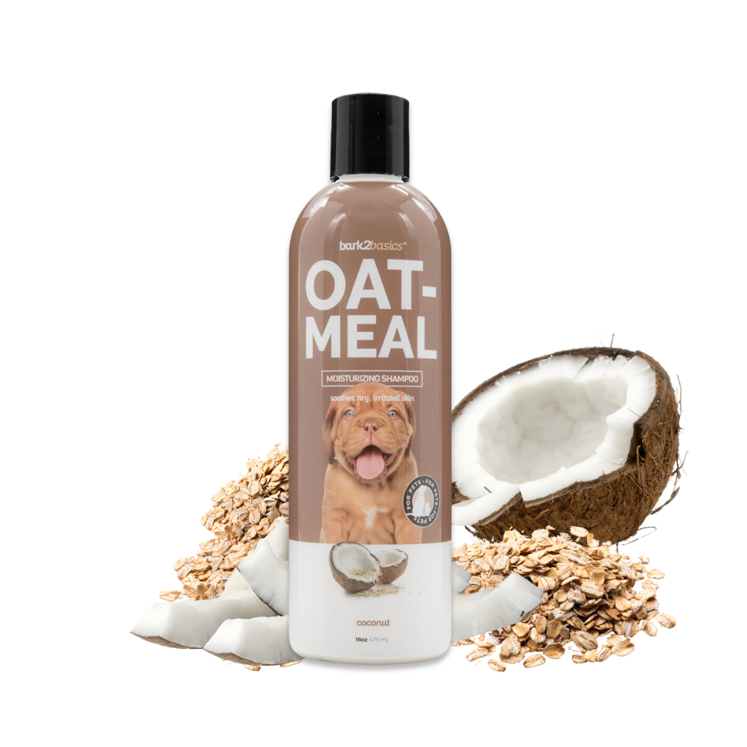 Baby Fresh Great Choice Oatmeal Shampoo Buy Great Choice Oatmeal