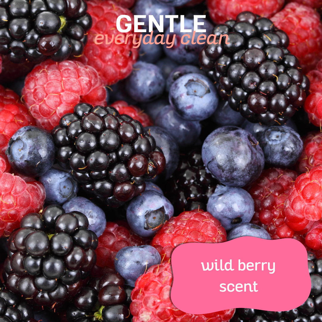 Bark2Basics Wild Berry Dog Shampoo, 16oz | Groomer's Choice