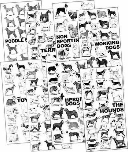 Set of 9 Dog Breed Posters | Groomer's Choice