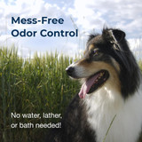 Sheltie standing in a grassy field under a blue sky. Text on image reads: ‘Mess-Free Odor Control. No water, lather, or bath needed!'