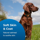 Dog with a shiny brown coat standing in a grassy field under a blue sky. Text on image reads: ‘Soft Skin & Coat. Natural oatmeal to soothe skin.’