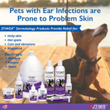 Pets with Ear Infections are Prone to Problem Skin Graphic