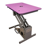 Groomer's Best Hydraulic Grooming Table 48"x 24", Purple Low