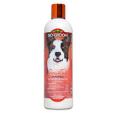 Bio-Groom Flea & Tick Conditioning Dog & Cat Shampoo, 12 oz
