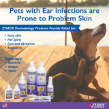 Product infographic