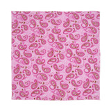 Princess Paws Dog Bandana, 22 inch, 12 Pack