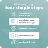 Espree Bright White 2-in-1 Shampoo and Conditioner Gallon Infographic 1