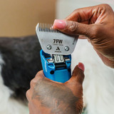 Hands attaching an Andis Wide 7F M-Force Blade to a clipper body