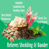 earthbath® Shed Control Conditioner graphic highlighting ingredients that help relieve shedding and dander, including shea butter for moisturizing, awapuhi for healthy shine and green tea leaf for repair
