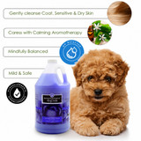 Features callout graphic for Best Shot Scentament Spa Lavender Aloe Calming Body Wash, 1 Gallon