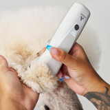 Andis EMERGE® Pro Clipper trimming the hair on a poodle's ear