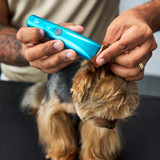 Seabreeze Blue Andis EMERGE® Trim Cordless Trimmer being used to trim the hair around a Yorkshire Terrier's ear.