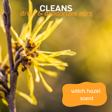 Close-up of witch hazel plant, accompanied by the text: 'cleans, dries and deodorizes ears, witch hazel scent'