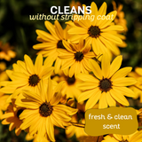 Close-up of blooming yellow daisies, highlighting the text: 'cleans without stripping coat, fresh & clean scent'