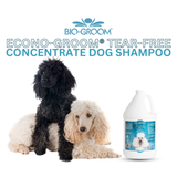 Bio-Groom Econo-Groom Tear-Free Concentrate Dog Shampoo. Gallon of Bio-Groom Econo Groom is next to a black dog and a white dog.