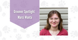 Groomer Spotlight: Marci Wanta and Wiggle Waggle Pet Care