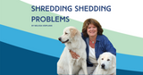 Shredding Shedding Problems