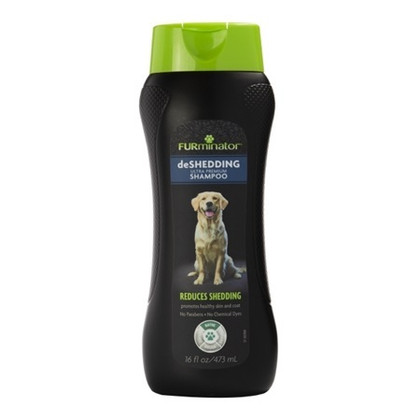 Buy Pets Empire Pets Shampoo for Dogs Pack of 2 x 200ml (Berry Blast), Shampoo for Labrador, German Shepherd, Pomeranian, Shih Tzu Puppy, Golden  Retriever, For All Dogs