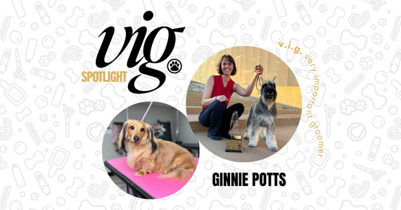 VIG Spotlight: Ginnie Potts