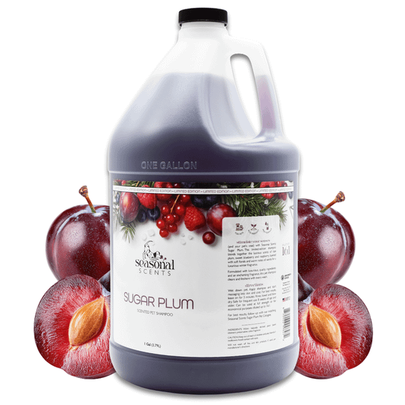 Front view of a gallon jug of Seasonal Scents Sugar Plum Shampoo surrounded by sweet plums