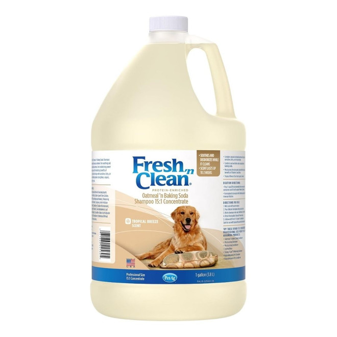 Front view of a gallon jug of Fresh 'n Clean Oatmeal 'n Baking Soda Tropical Shampoo on a white background