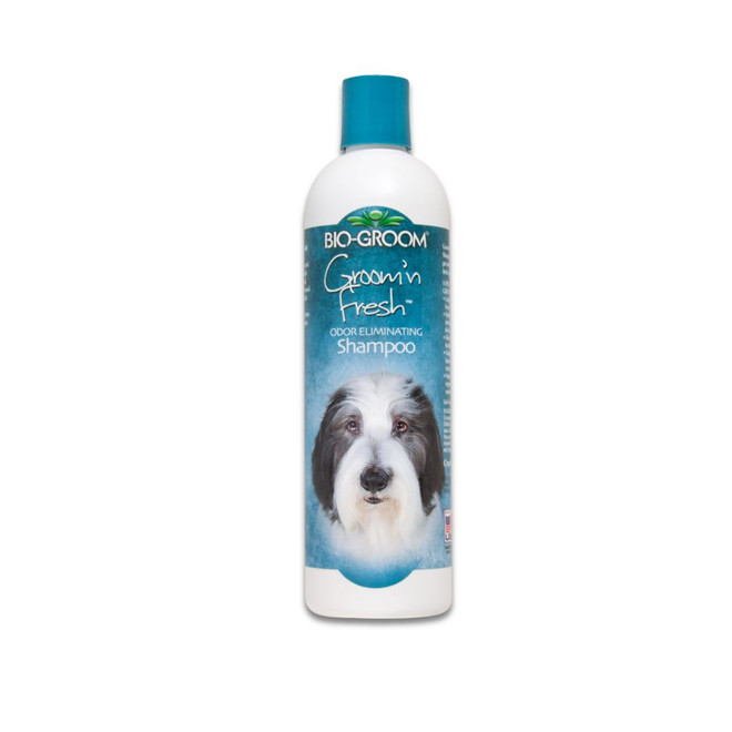 Bio-Groom Groom N Fresh Dog & Cat Shampoo, 12 oz