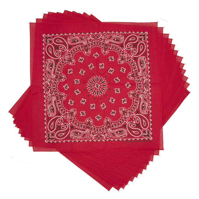 Red Paisley Bandana, 22 inch, 12 Pack