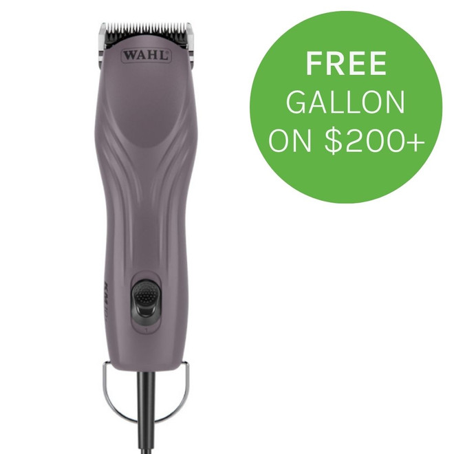 Wahl KM10+ Clipper, Purple, with green sale badge