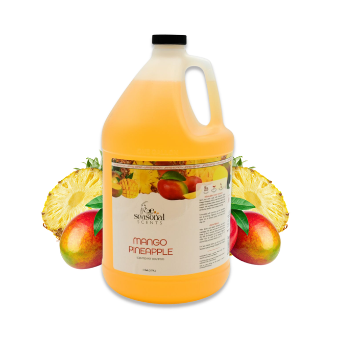 Gallon jug of Seasonal Scents Mango Pineapple Shampoo, displayed with fresh mangos and pineapples