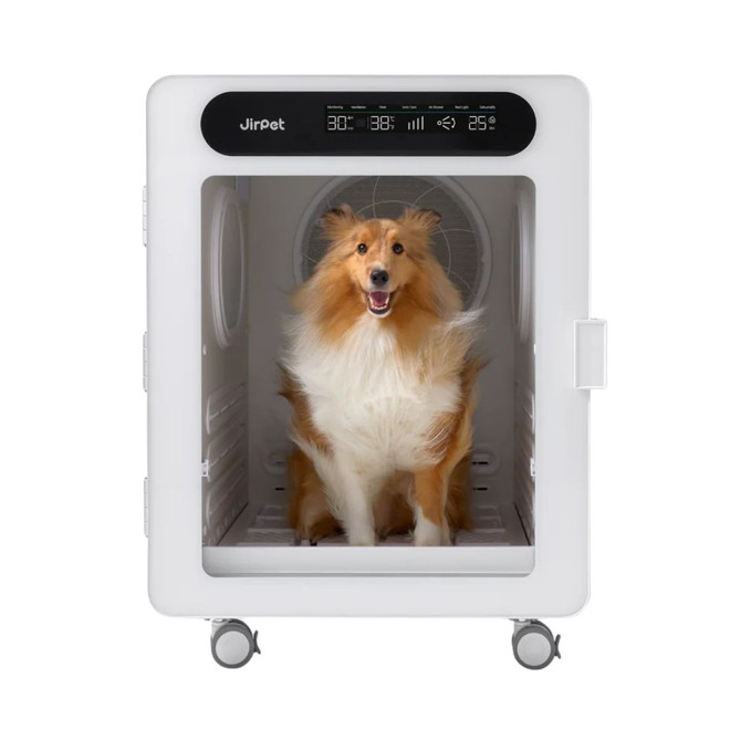 Sheltie being dried inside Jirpet C7s Pet Dryer Cabin