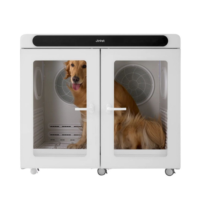 Golden Retriever being dried inside Jirpet CPlus Pet Dryer Cabin