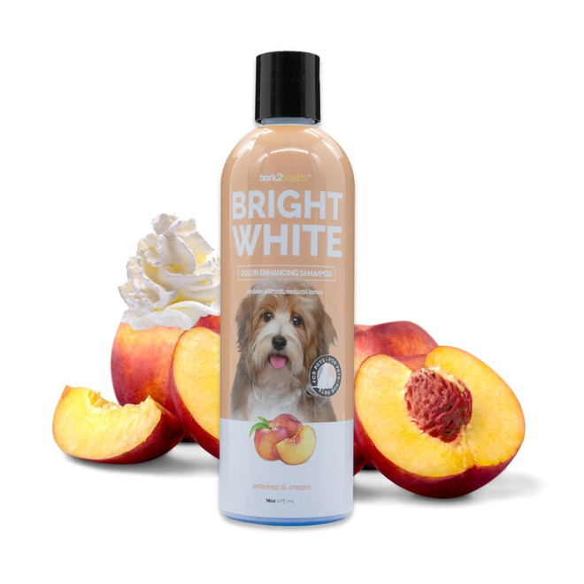 pittoretique BE FLUFFY SHAMPOO 2本セット pittoretique BE FLUFFY SHAMPOO 2本セット オラプレックスシャンプー