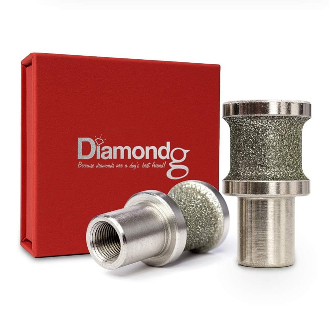 Diamondg Large Diamond Rotary Bit shown with included case