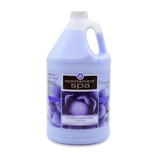 Front view of Best Shot Lavender Aloe Calming Conditioner, 1 Gallon