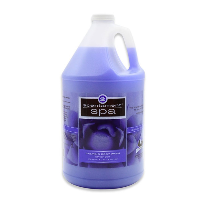 Front view of Best Shot Scentament Spa Lavender Aloe Calming Body Wash, 1 Gallon