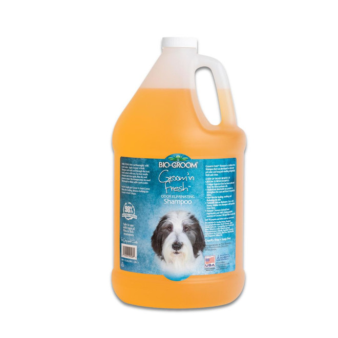 Bio-Groom Groom N Fresh Dog & Cat Shampoo, 1 Gallon