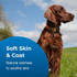Dog with a shiny brown coat standing in a grassy field under a blue sky. Text on image reads: ‘Soft Skin & Coat. Natural oatmeal to soothe skin.’
