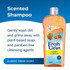 Fresh ’n Clean Original Scented Shampoo graphic with 18 oz bottle and text: ‘Scented Shampoo. Gently wash dirt and grime away with plant-based soap and paraben-free cleansing agents.’ Label reads ‘Classic Fresh Scent.’