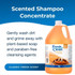 Fresh ’n Clean 15:1 Scented Shampoo graphic with gallon jug and text: ‘Scented Shampoo Concentrate. Gently wash dirt and grime away with plant-based soap and paraben-free cleansing agents.’ Label reads: ‘Classic Fresh Scent.’