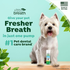 White dog sitting beside a bottle of TropiClean Fresh Breath dental foam with messaging about easy pet dental care.