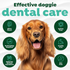 Dog featured in graphic promoting effective dog dental care with icons highlighting no brushing required, minty flavor, sulfate free, cruelty free, dye free and naturally derived ingredients.