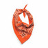 Orange Paisley Bandana, 22 inch, 12 Pack